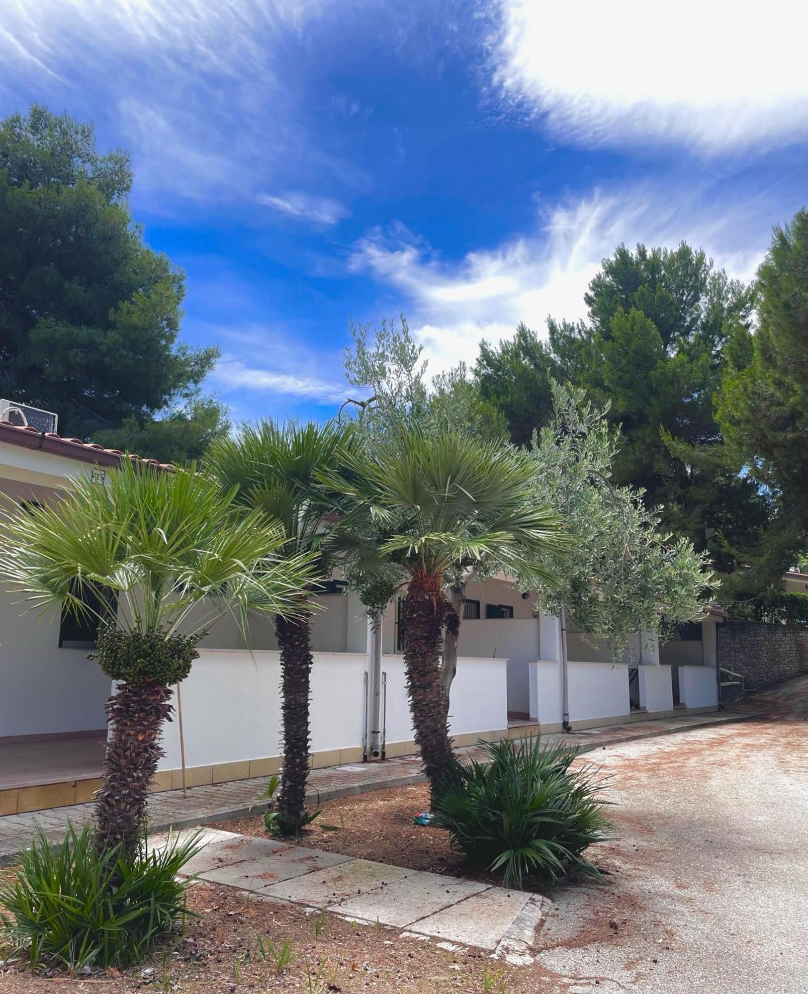 Villaggio La Giara Βιέστε Εξωτερικό φωτογραφία